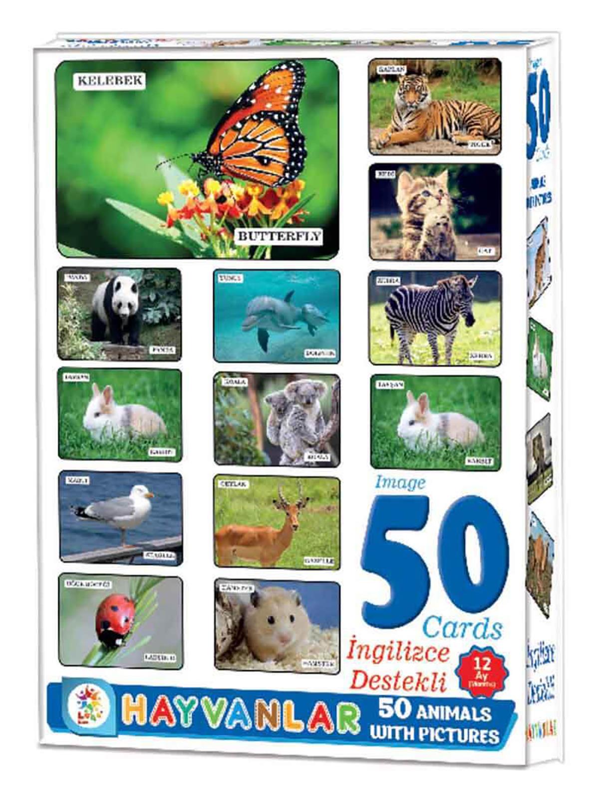 Laço Games Resimlerle Hayvanlar Alemi Eğitici Kartlar 50 Parça
