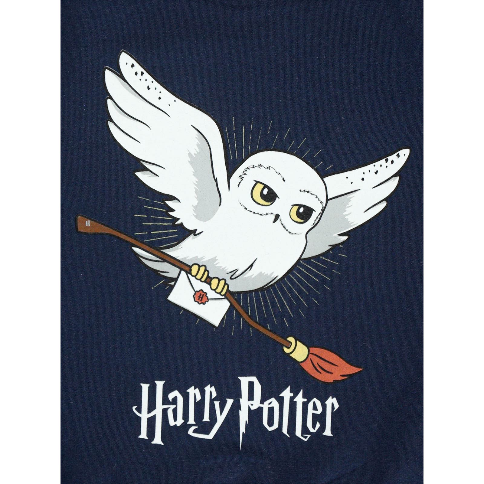 Harry Potter Kız Çocuk Sweatshirt 2-5 Yaş Lacivert