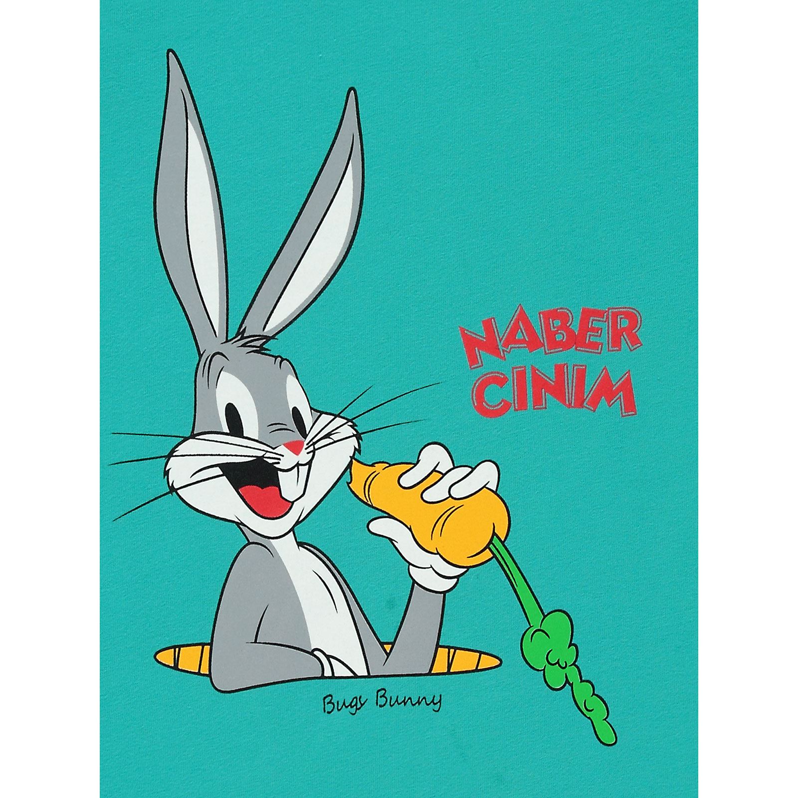 Bugs Bunny Erkek Çocuk Sweatshirt 2-5 Yaş Koyu Mint