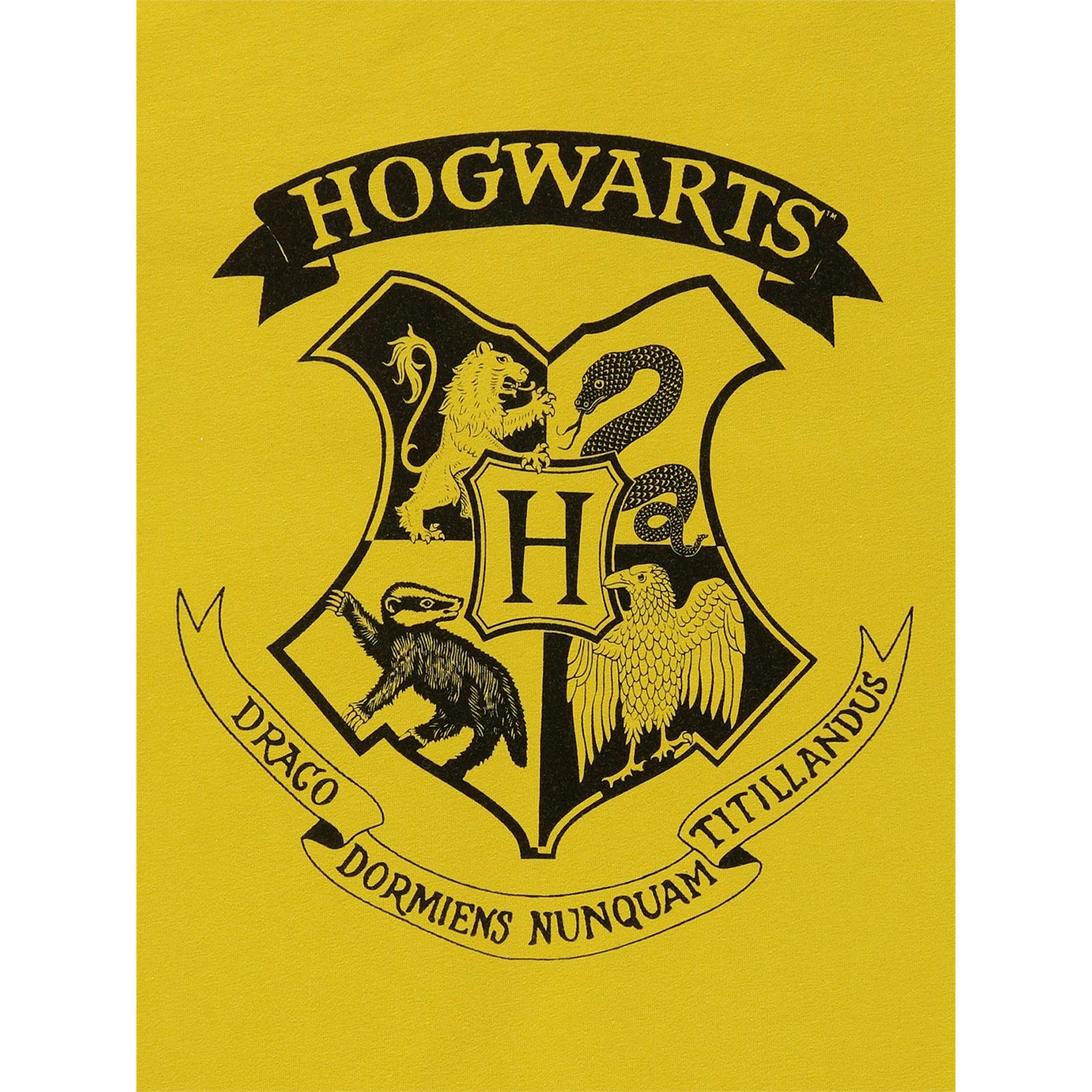 Harry Potter Erkek Çocuk Sweatshirt 10-13 Yaş Sarı