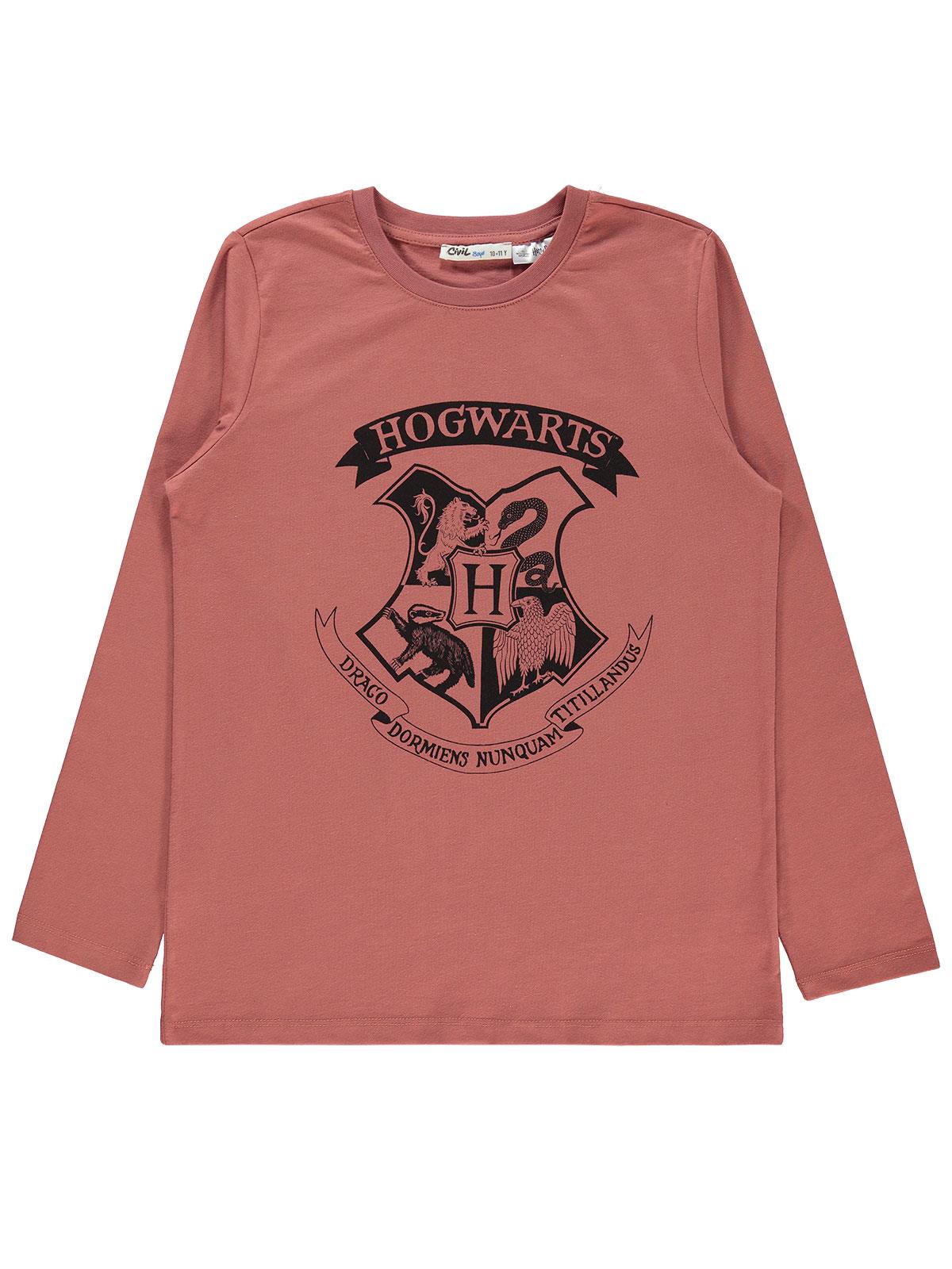 Harry Potter Erkek Çocuk Sweatshirt 10-13 Yaş Kiremit