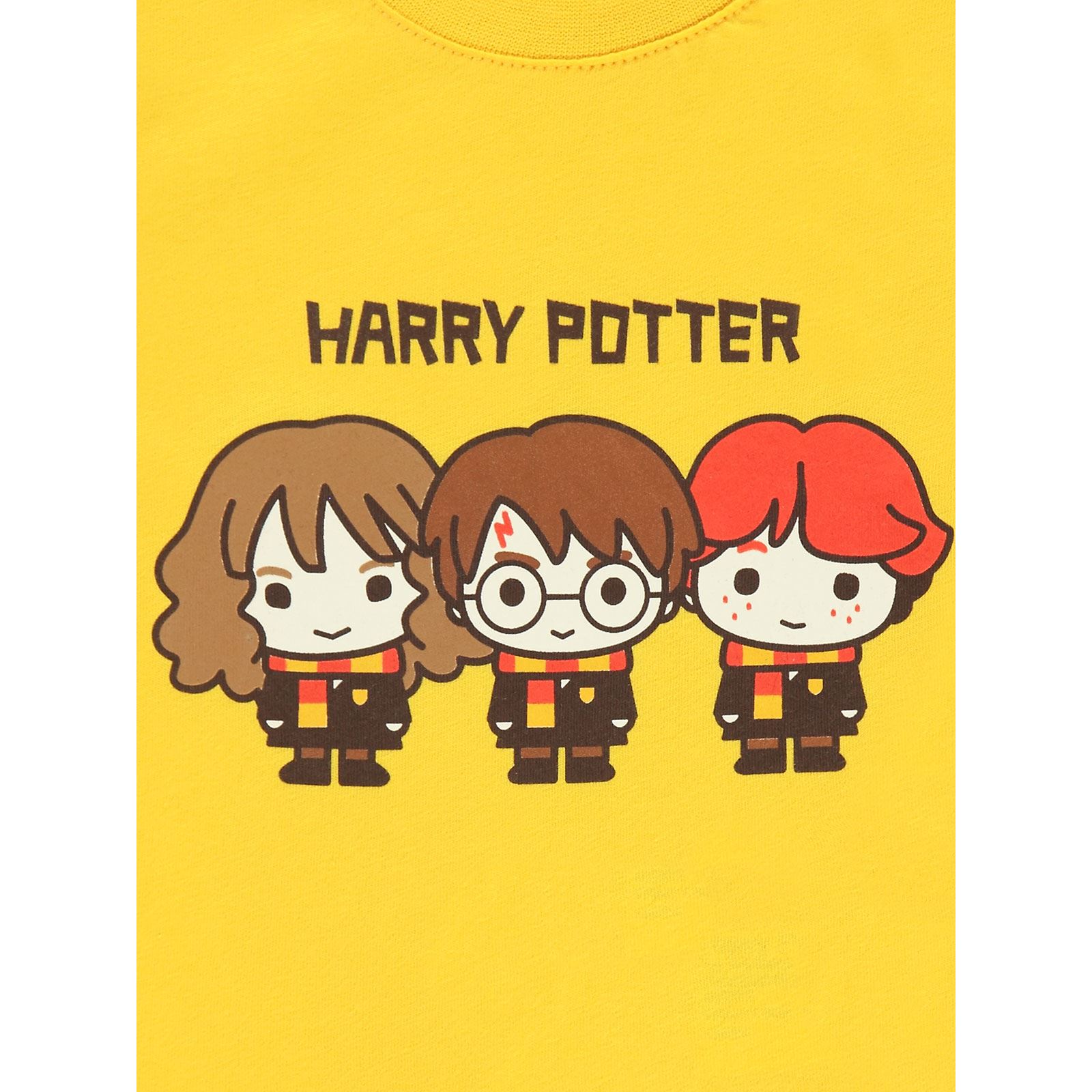 Harry Potter Erkek Bebek Sweatshirt 6-18 Ay Hardal