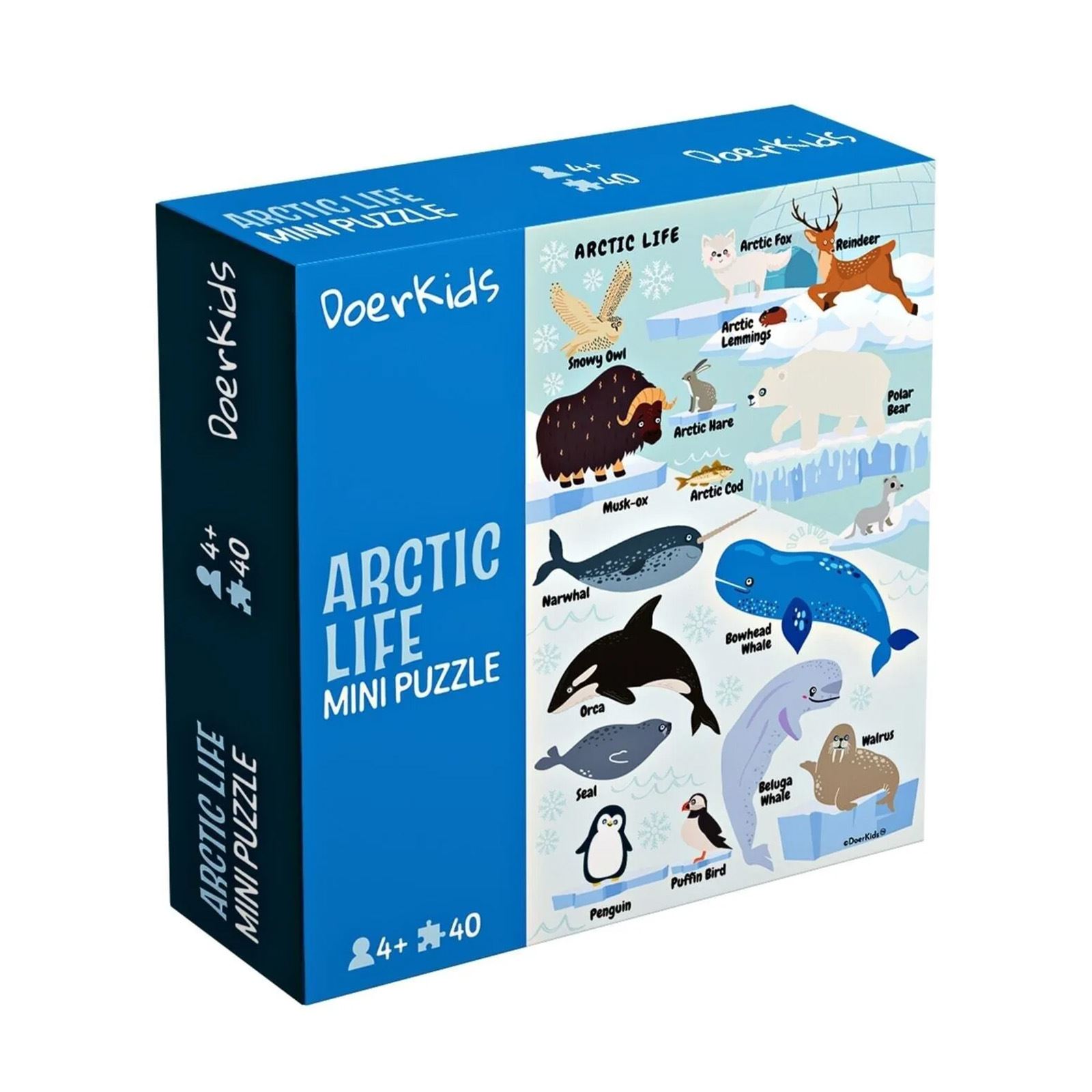 Doer Kids Kuzey Kutbu Hayvanları Mini Puzzle 40 Parça Renkli