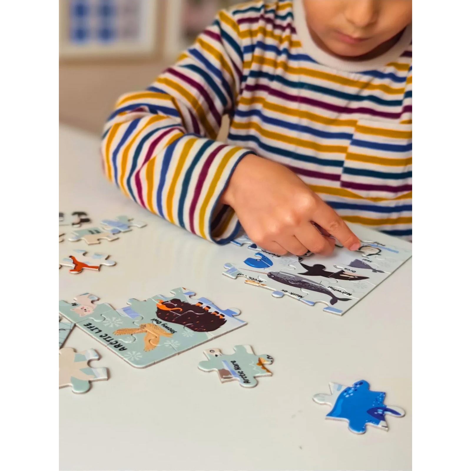 Doer Kids Kuzey Kutbu Hayvanları Mini Puzzle 40 Parça Renkli